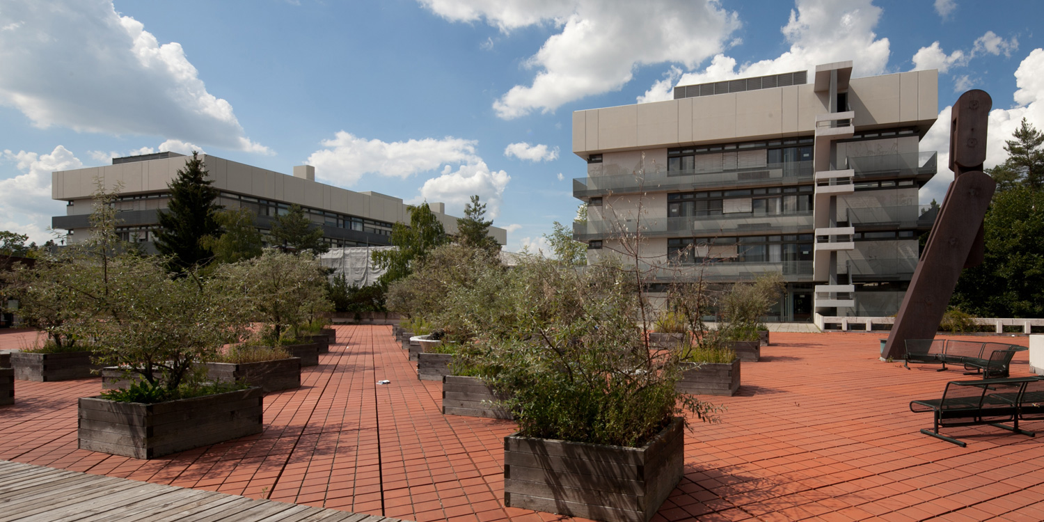 Zur Seite: Departments and Chairs