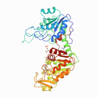 Towards entry "Perpetual ageing of proteins remains unproven"