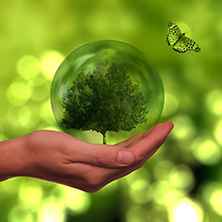 Zur Seite: Clean Energy Processes (M.Sc.)