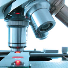 Zur Seite: Life Science Engineering (M.Sc.)