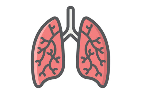 Towards entry "Finger-nail sized sensor monitors respiratory function"